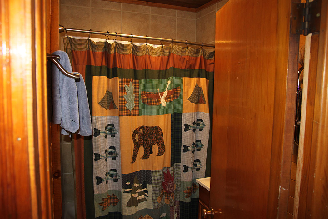 Lower level bathroom with tub